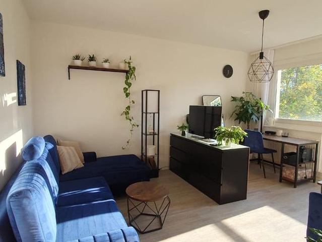 Möblierte 1 Zimmer Wohnung in Dresden