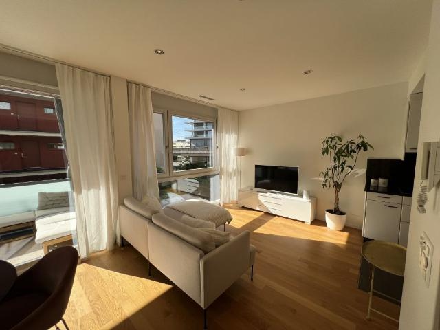 Möblierte 2.5 Zimmer Wohnung mit Balkon und Seesicht in Zug