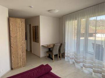 möblierte 2.5 Zimmerwohnung ohne Stromkosten