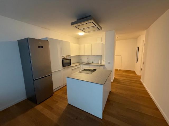 Möblierte 2 Zimmer Wohnung, 110 m2, offene Küche, 2 Bäder – Frankfurt