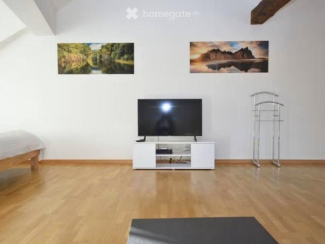 Möblierte 2 Zimmer Wohnung in der Zürcher Altstadt am Grossmünsterplatz – 55 m²