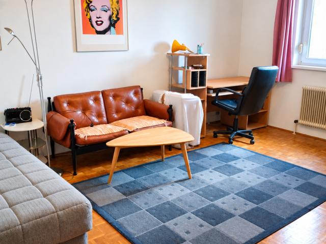 Möblierte 45 m² Wohnung mit Loggia, Lift & Sehr Guter Anbindung in Graz
