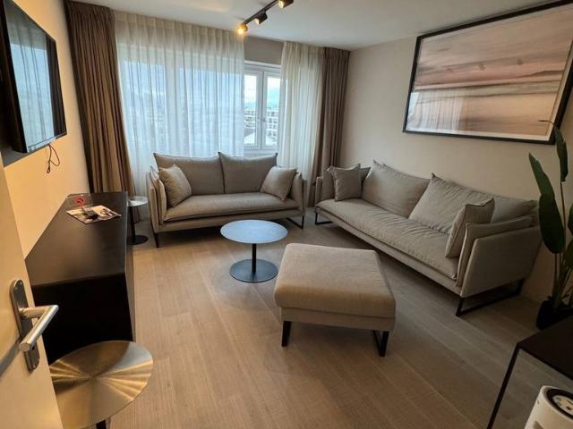 Möblierte 4.5 Zimmer Wohnung zu vermieten