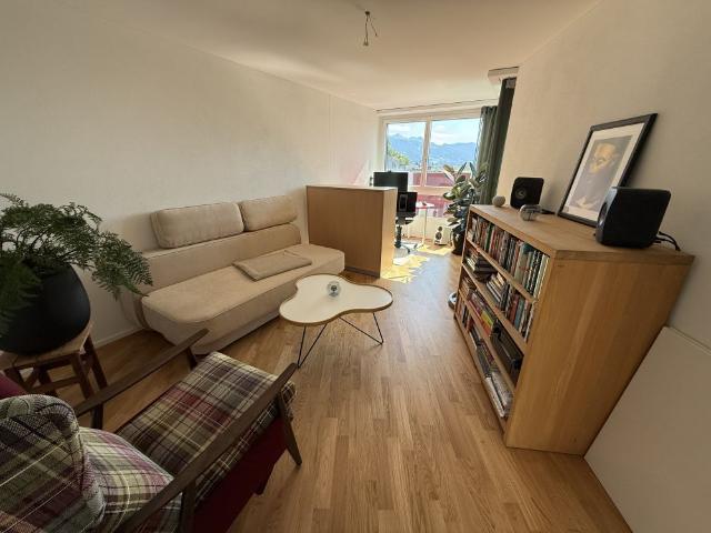 Möblierte 4 Zimmer Wohnung mit Aussicht und Dachterrasse in Luzern
