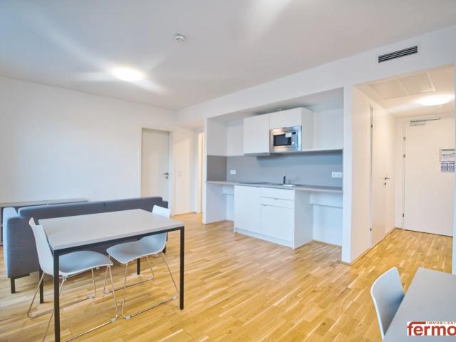 möblierte Apartments zur Kurzzeitmiete 2 12 Monate / furnished apartments for short term rental 2 12 months