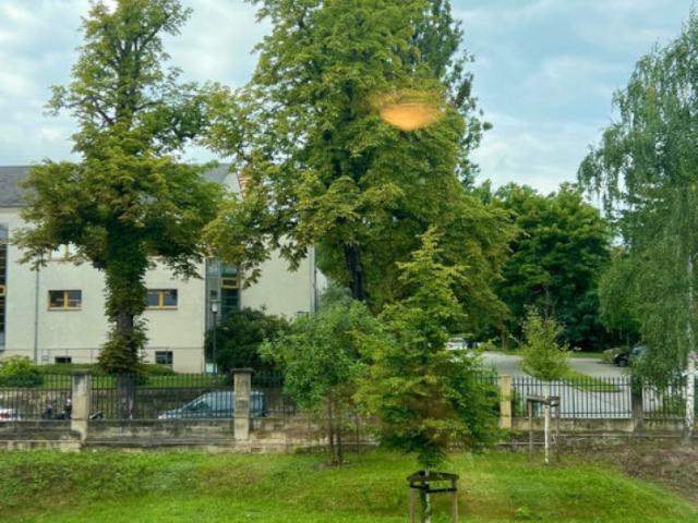 Möblierte Gemütliche Einraumwohnung in idealer Lage* direkt in Uni Nähe