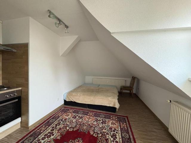 Möblierte Einraumwohnung in einer schönen Altbauvilla in Meerane