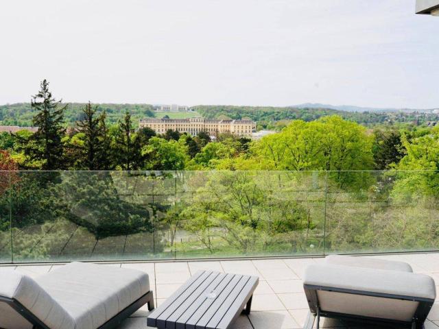 Möblierte DG Wohnung mit 186 m² Dachterrasse & Schönbrunn Blick