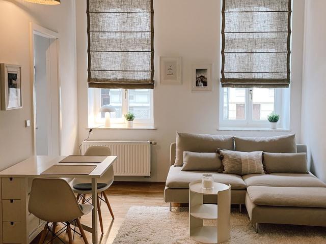 möblierte Wohnung Top saniert Südvorstadt
