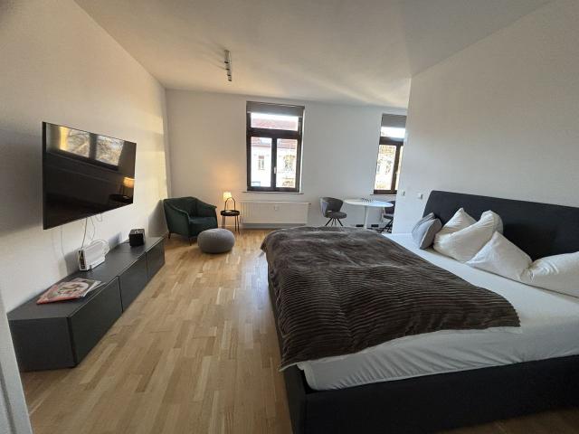 Möblierte Wohnung auf Zeit direkt am Großen Garten, Dresden Amsterdam Apartments for Rent