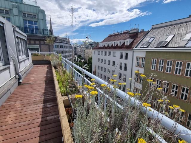 möbliertes City Apartment mit Terrasse, 2 Schlafzimmer OTTO Immobilien