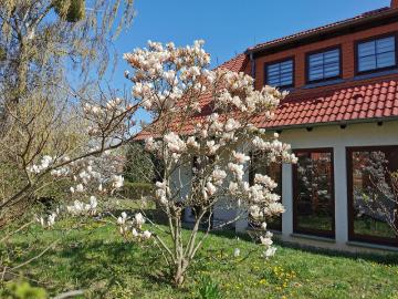 Woltersdorf, Oder-Spree, Märkisch-Oderland, Bundesland Brandenburg