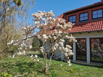 Neuenhagen bei Berlin, Marzahn-Hellersdorf, Trappenfelde, Barnim, Bundesland Brandenburg