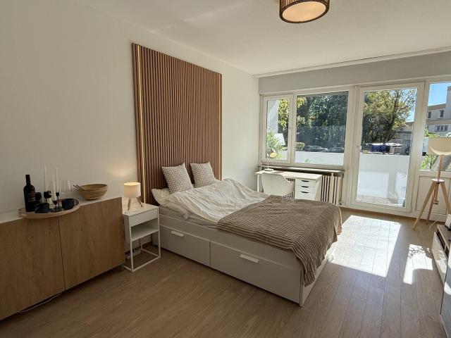 Möbliertes 1 Zi. Apartment mit Morgensonnen Balkon, alles inklusive – Erlangen