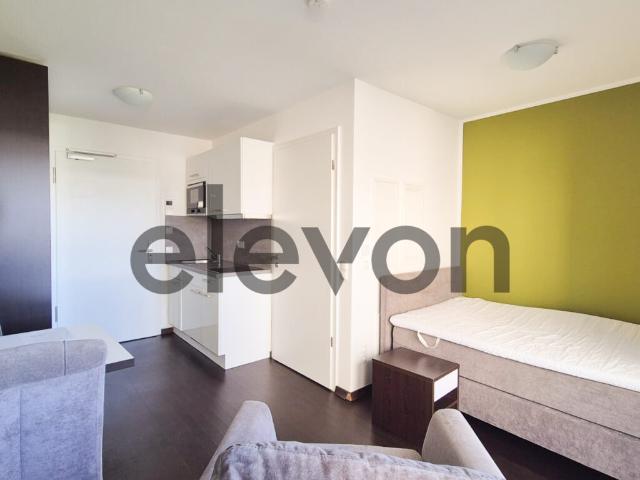 Möbliertes 1 Zimmer Apartment im elevon