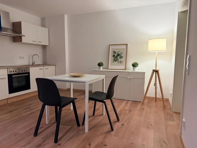 Möbliertes 1 Zimmer Apartment in Erbenheim, Erstbezug