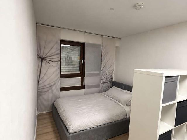 Möbliertes 1 Zimmer Apartment Maxvorstadt zur Zwischenmiete von Januar bis Juli