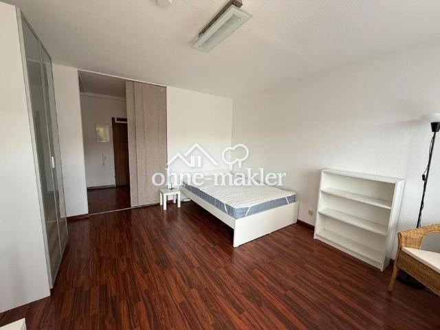 Möbliertes 1 Zimmer Apartment mit Balkon & Stellplatz nahe Heidelberg