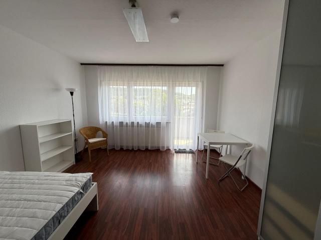Möbliertes 1 Zimmer Apartment mit Balkon & Stellplatz nahe Heidelberg