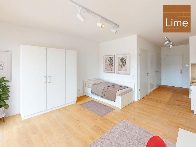 Möbliertes 1 Zimmer Apartment mit Einbauküche und Balkon
