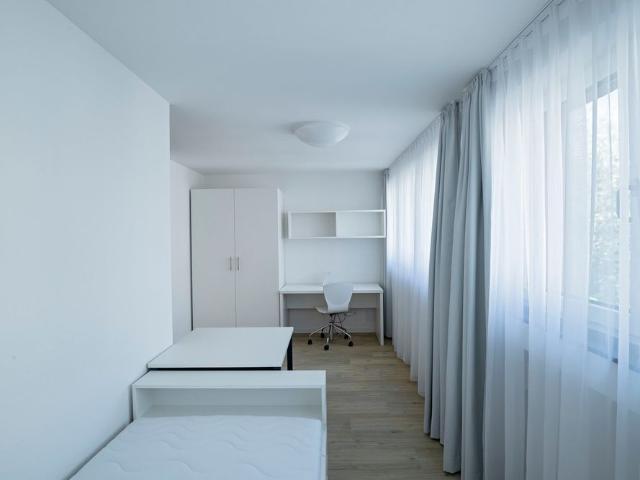 Möbliertes 1 Zimmer Apartment sucht Bewohner auf Zeit
