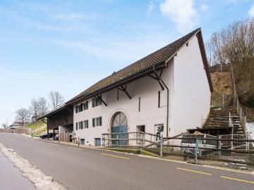 Möchten Sie Wohnungen bauen? Und gleichzeitig in einem renovierten und modernen EFH wohnen? Da sind Sie genau richtig!