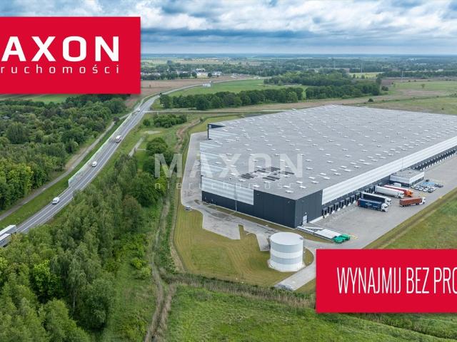 Moduł magazynowy 4500 m² z biurem, wysoki standard