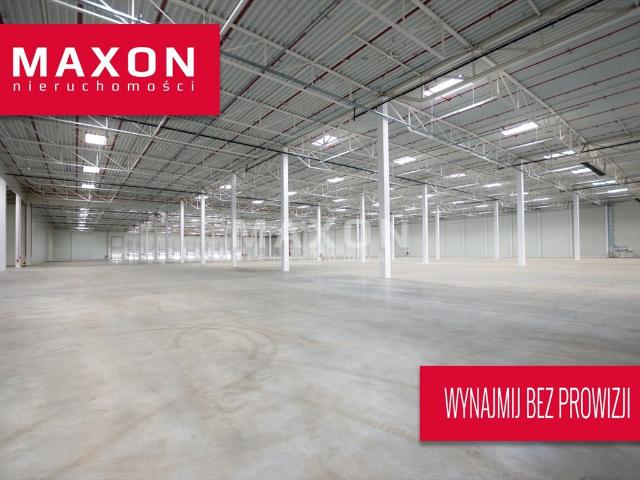 Moduł magazynowy 6 500 m² z biurami, wysokie składowanie