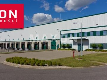 Moduł magazynowy 9 520 m² z biurami, wysokim składowaniem