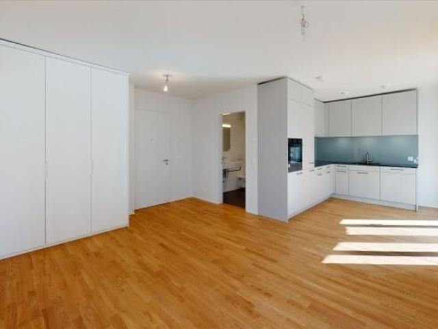 Modern 3.5 room apartment for rent