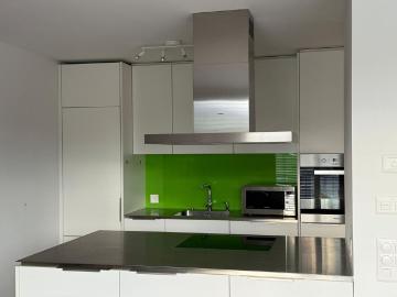 Modern 3.5 room duplex with parking space, Birmensdorf