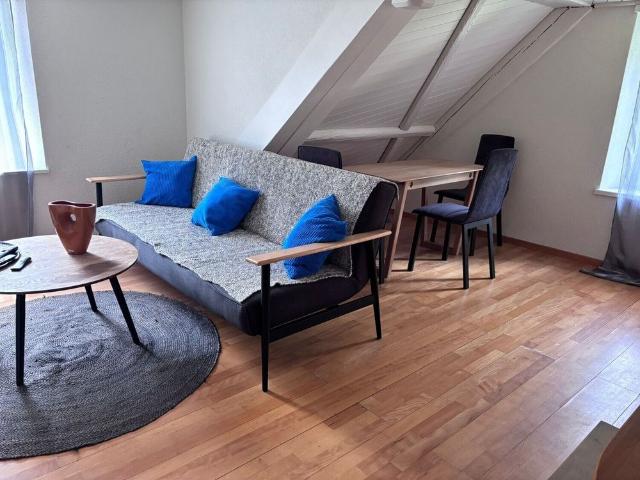 Modern 3.5 Room Furnished Apartment Langnau am Albis Ideal for Corporate & Families