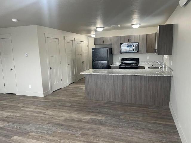 Modern 3 3 Bedroom Apartment for Rent at 3562 E Gample Ave, Ammon, ID 83401