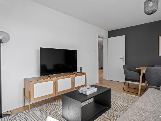 Modern 3 Bedroom Furnished Apartment in Sihlfeld, Zurich Amsterdam Apartments for Rent