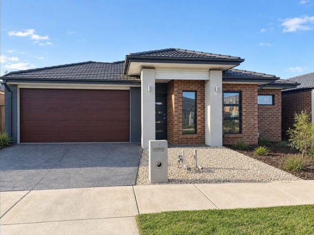 Modern 4 Bedroom Family Home with Spacious Living & Outdoor Entertaining
