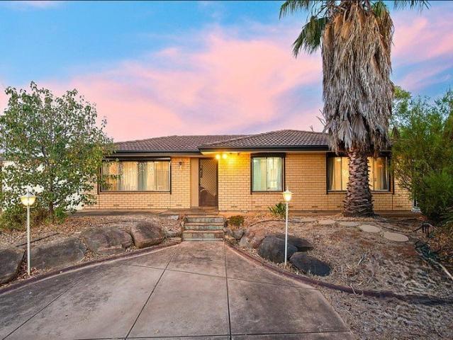 Modern 3 Bedroom House for Rent in Wynn Vale Don't Miss Out!