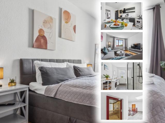 Modern 3 Room City Apartment in the Heart of Magdeburg, Magdeburg Amsterdam Apartments for Rent