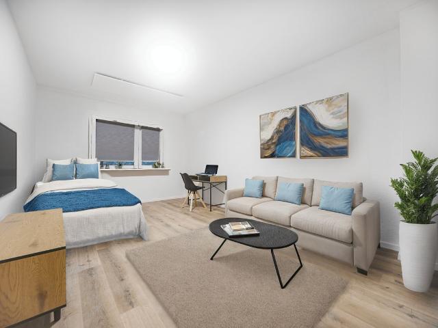 Modern 1.5 Room Apartment – Bright, Stylish & Well Connected, Essen Amsterdam Apartments for Rent