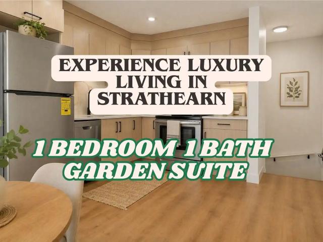 Modern 1 Bed, 1 Bath Garden Suite | Available September 1 | Garage NOT INCLUDED