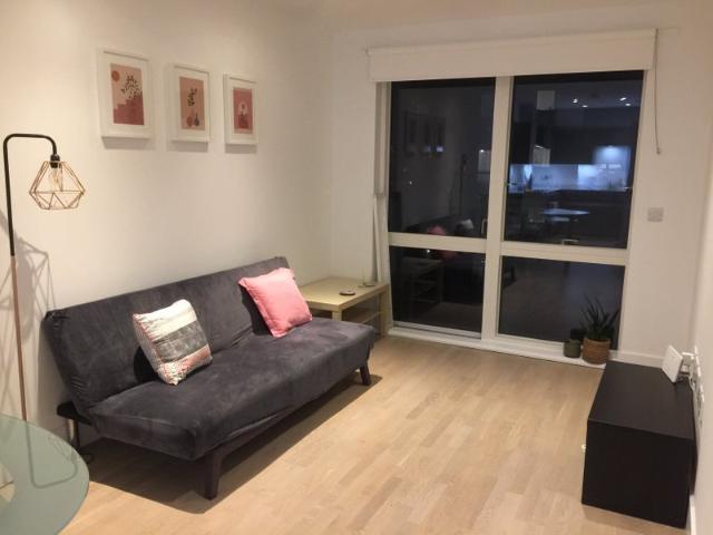 Modern 1 Bed Flat Available from mid Oct bills inc