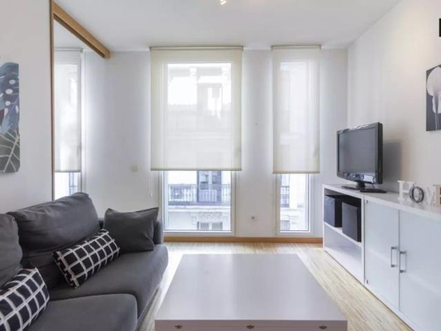 Modern 1 bedroom apartment with AC for rent near Prado in Madrid Centro