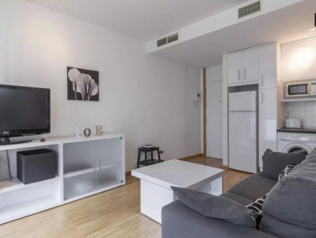 Modern 1 bedroom apartment with AC for rent near Prado in Madrid Centro