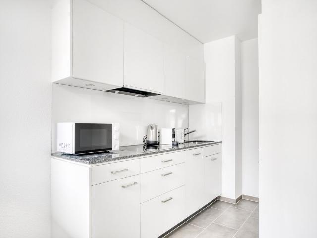 Modern 1 Bedroom Apartment with Balcony in Basel Iselin, Basel Amsterdam Apartments for Rent