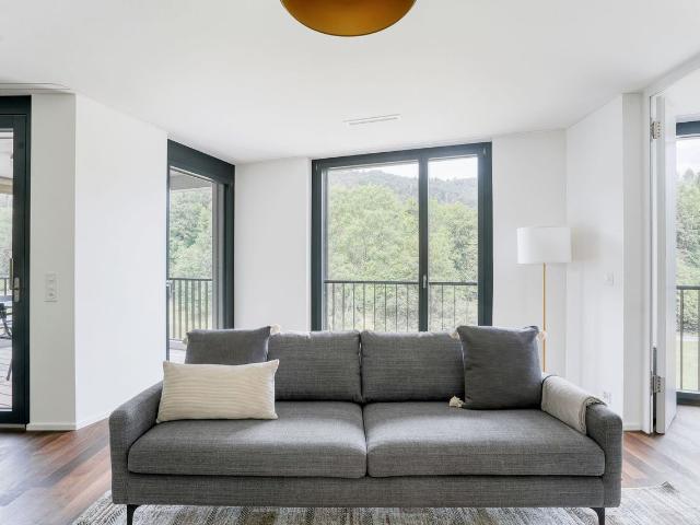 Modern 1 Bedroom Apartment with River Views in Wollishofen, Zurich Amsterdam Apartments for Rent