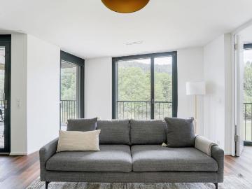 Modern 1 Bedroom Apartment with River Views in Wollishofen, Zurich Amsterdam Apartments for Rent