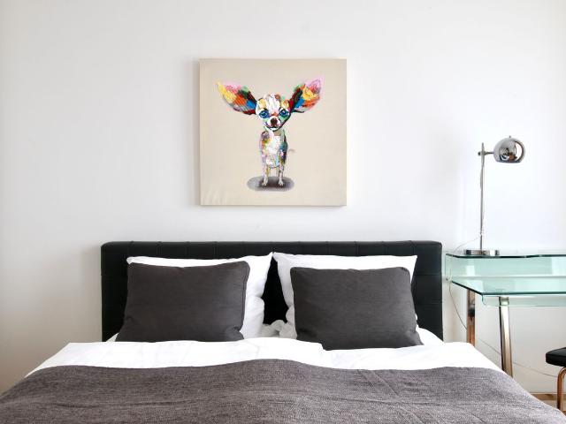 Modern 1 bedroom apartment near Cologne's Trade Fair, Koln Amsterdam Apartments for Rent