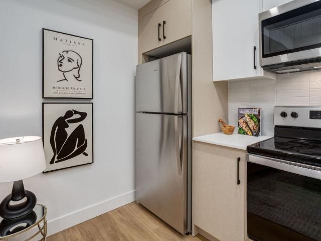Modern 1 Bedroom Basement Suite Available Immediately