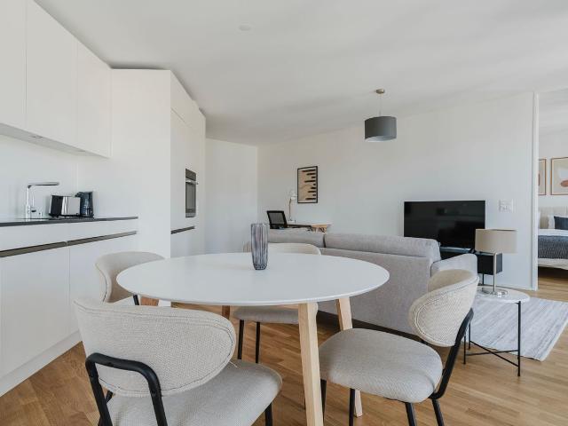Modern 1 Bedroom Furnished Apartment in Alt Wiedikon, Zurich Amsterdam Apartments for Rent