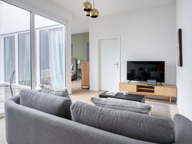 Modern 1 Bedroom Furnished Apartment in Basel Bachletten, Basel Amsterdam Apartments for Rent