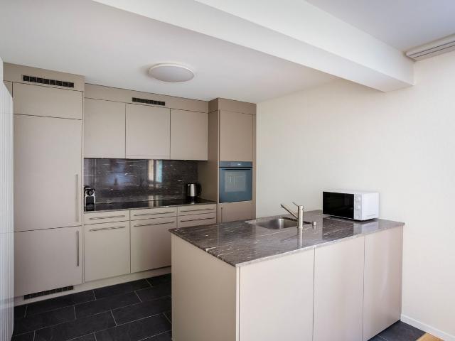 Modern 1 Bedroom Furnished Apartment in Hirslanden, Zurich Amsterdam Apartments for Rent